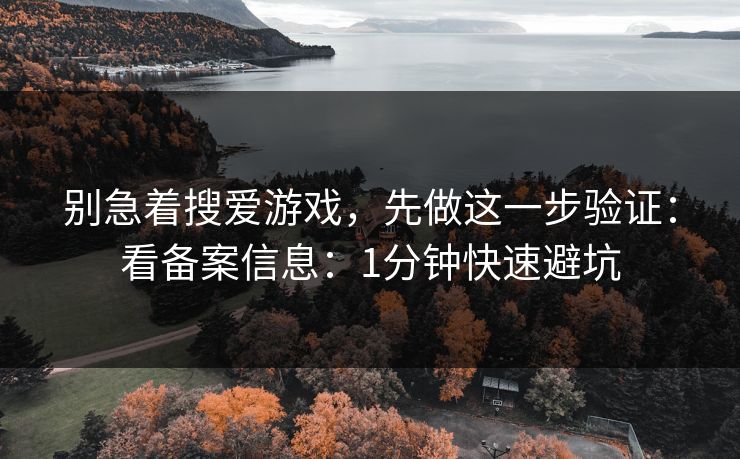 别急着搜爱游戏，先做这一步验证：看备案信息：1分钟快速避坑